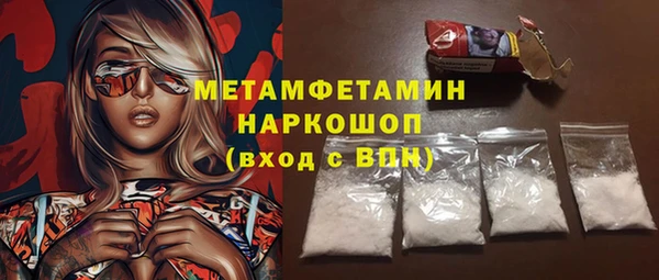 мет Алексин