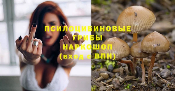 дмт Абинск