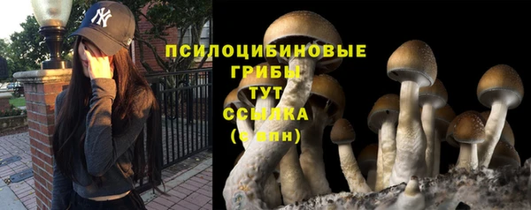 дурь Абаза